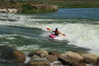 Top Wave