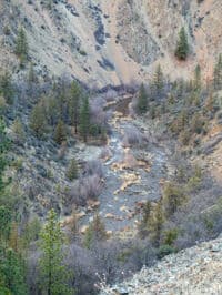 Shasta River at 350 cfs