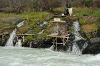 Fishing at Sherars Falls