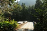 Forest Road 1550 Bridge