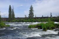 Deschutes River Along Newberry Lava Field