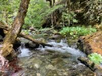 Kelsey Creek