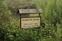 Overgrown Sign