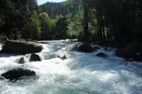 McCloud Swim Club