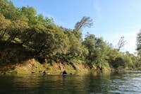Nearing the Take-out on Butte Creek