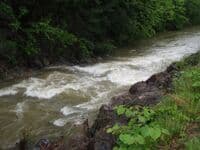 Rapid along Kessler Mill Rd.
