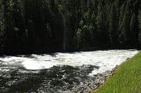 Grim Reaper Rapid
