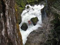 3rd Drop in the final Gorge