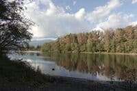 Lyman Ferry Access