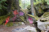 Graffiti at Eagle Falls