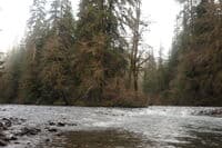Confluence of Sitkum River With South Fork Calawah