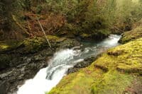 The Last Two Drops in the Gorge