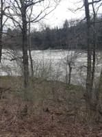 Upstream rapids