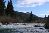 Unnamed Rapid