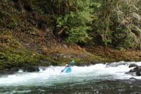 Rapid on the Sol Duc