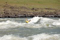 Such a Rowdy Wave