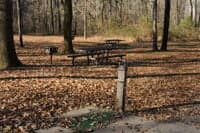 Picnic Area at Greer Launch
