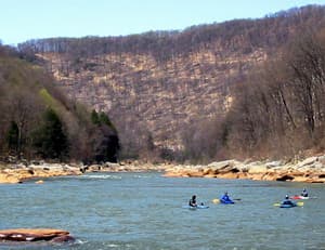 Cheat Canyon Settlement Reached; Land Set Aside for Endangered Species