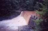 Help Support the Restoration of Twelvemile Creek (SC)
