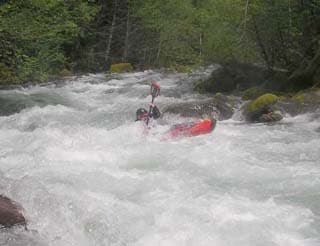 McKenzie River (OR) Flow Study