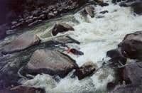 Upper Colorado River in danger of being Flat-Lined!