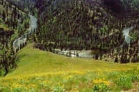 Middle Fork Salmon Mine Proposed (ID)