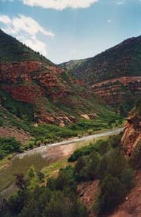 Dolores River Releases for 2009