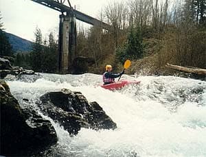 The 24th Annual Green River (WA) Cleanup is Set For May 2, 2009!