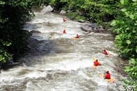 Cheoah River Restoration Report Released – Thumbs Up!