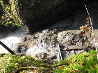 White Salmon River near Condit Dam still off limits  (WA)