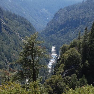 ACTION ALERT: House to Vote on Wild and Scenic Roll Back