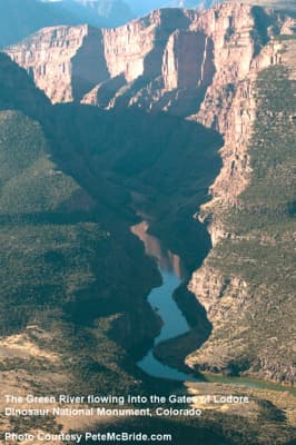 AW Intervenes in Opposition to the Flaming Gorge Pumpback Proposal