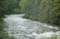AW and Partners Fight a Proposed Dam in Northern Idaho