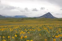 AW Supports the Rocky Mountain Front Heritage Act (MT)