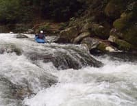 West Fork Tuck Releases Announced (NC)