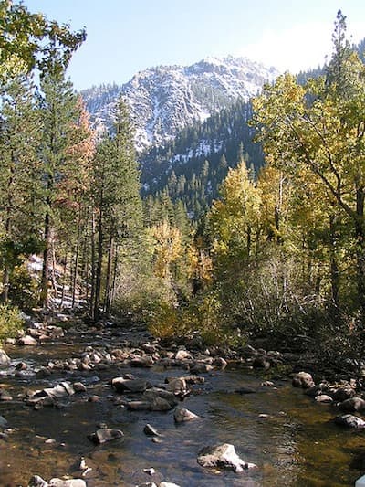 Action Alert–Support River Access in Nevada!