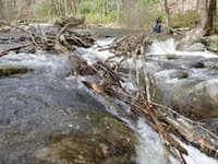 Expect Many Portages on West Fork Tuck (NC)