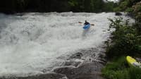 West Fork Tuck Beta and Alert (NC)