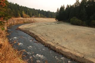 Share Your Vision for the White Salmon (WA)