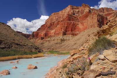 Urgent Action Needed to Protect Grand Canyon!