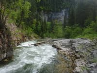 Help Protect Flathead River Tributaries (MT)