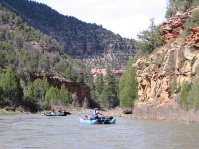 Dolores River – The Early April Update
