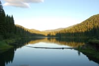 Dam Removal on Sullivan Creek Begins Next Week! (WA)
