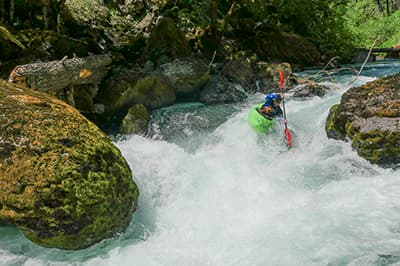 Take Action for Oregon’s Nehalem, SF Umpqua and NF Santiam!