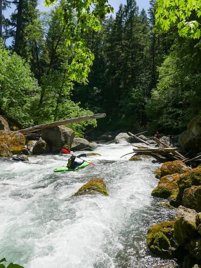 Take Action for Oregon’s South Umpqua!