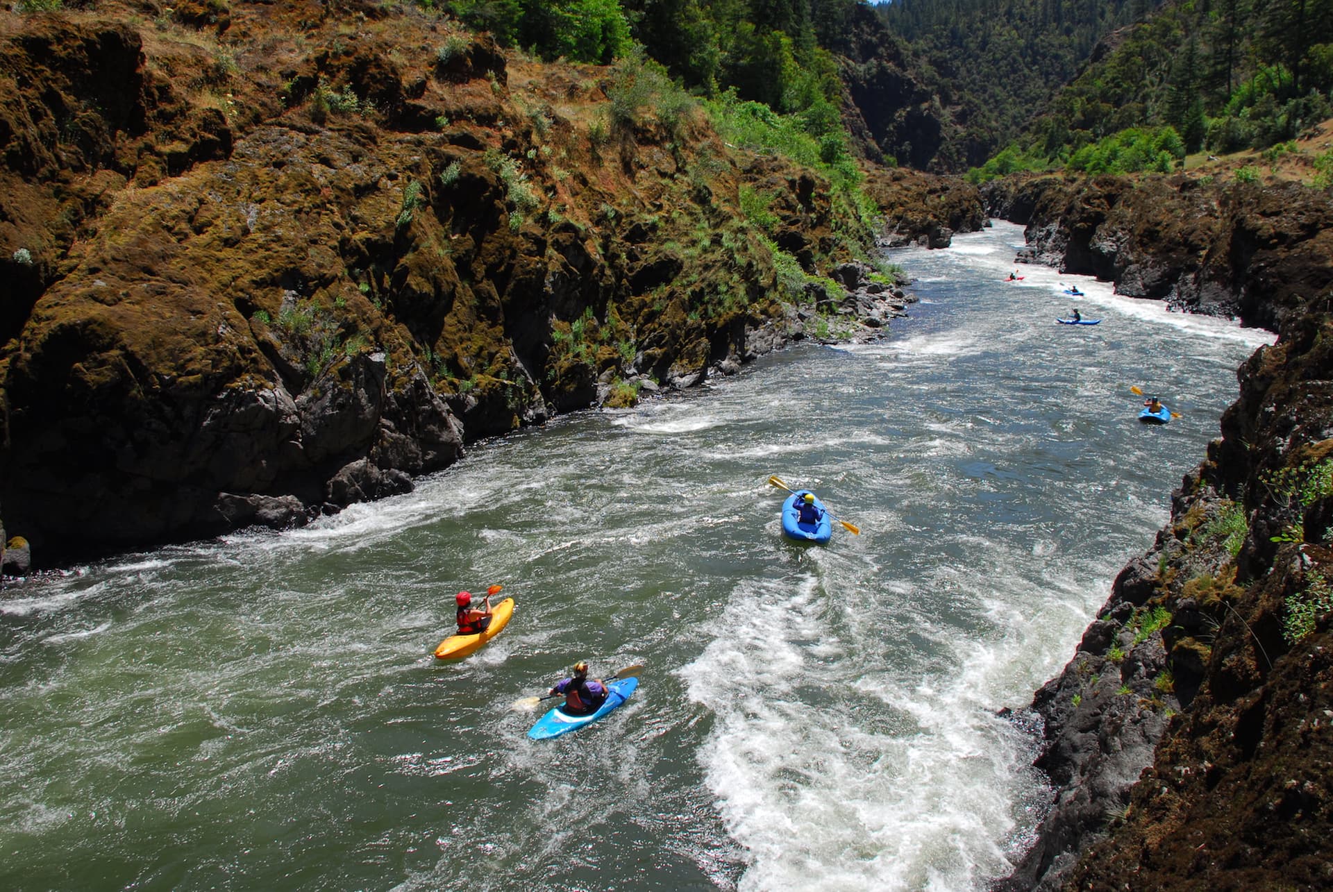 Join American Whitewater On The Wild And Scenic Rogue River (OR) In 2019