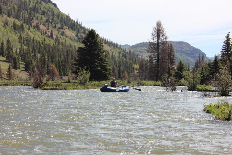 Flow Survey Announced for Rio Grande and Conejos Rivers (CO)