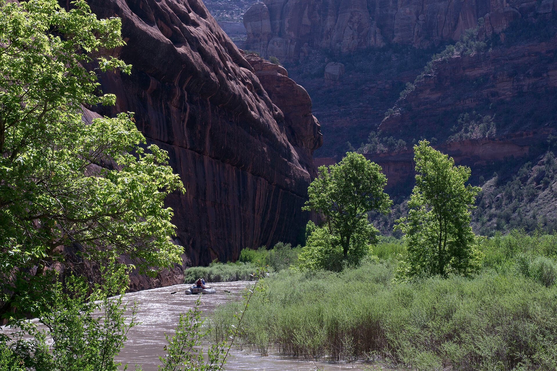 Dolores River (CO) 2019 Release Update