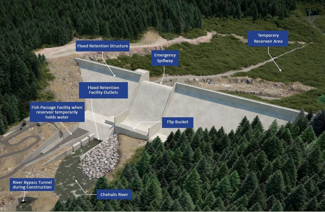 New Dam Proposed for Chehalis River (WA): Take Action and Comment