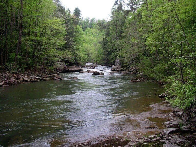 Piney River and Tributaries Designated Scenic Rivers (TN)